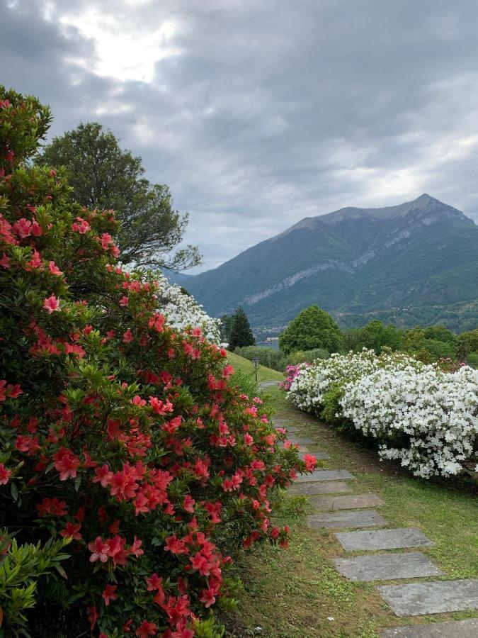 Il Poggio Di Bellagio Aparthotel Luaran gambar