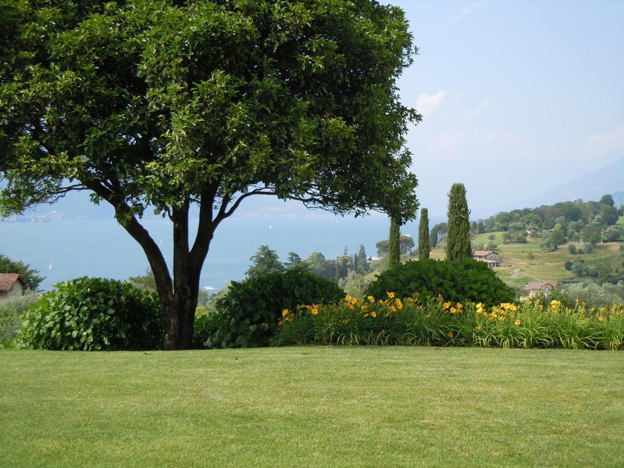 Il Poggio Di Bellagio Aparthotel Luaran gambar