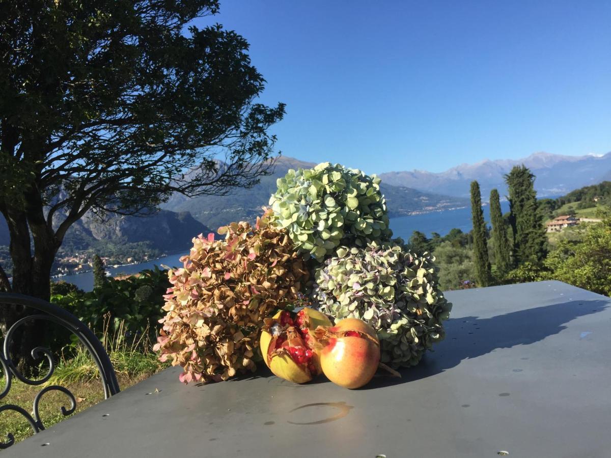 Il Poggio Di Bellagio Aparthotel Luaran gambar